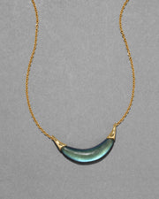 Gold Capped Crescent Lucite Necklace- Black Beetle - Photo 1