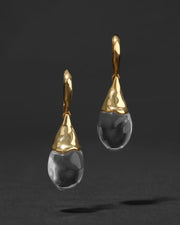 Liquid Lucite Capped Teardrop Leverback Earring - Photo 1