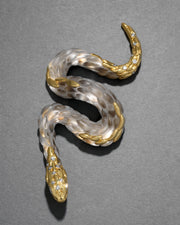 Serpent Lucite Pin- Desert - Photo 1