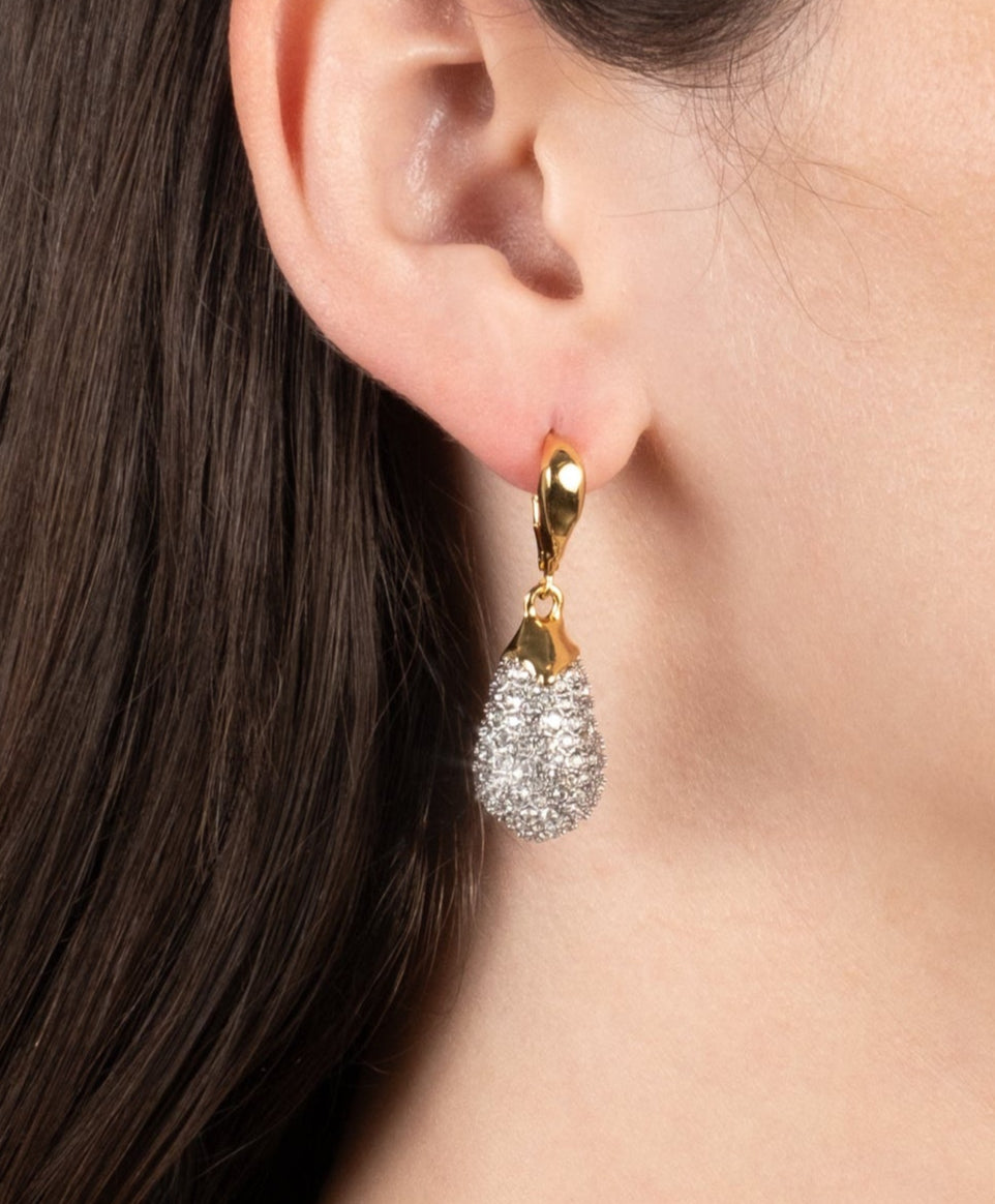 Solanales Crystal Pavé Teardrop Leverback Earring - Photo 2