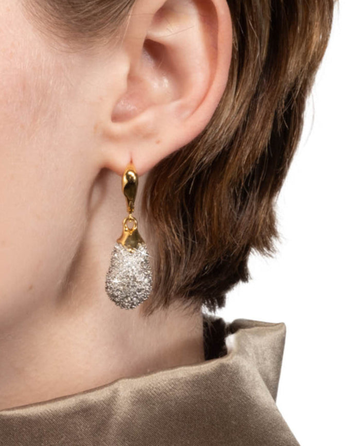 Solanales Crystal Pavé Teardrop Leverback Earring - Photo 2