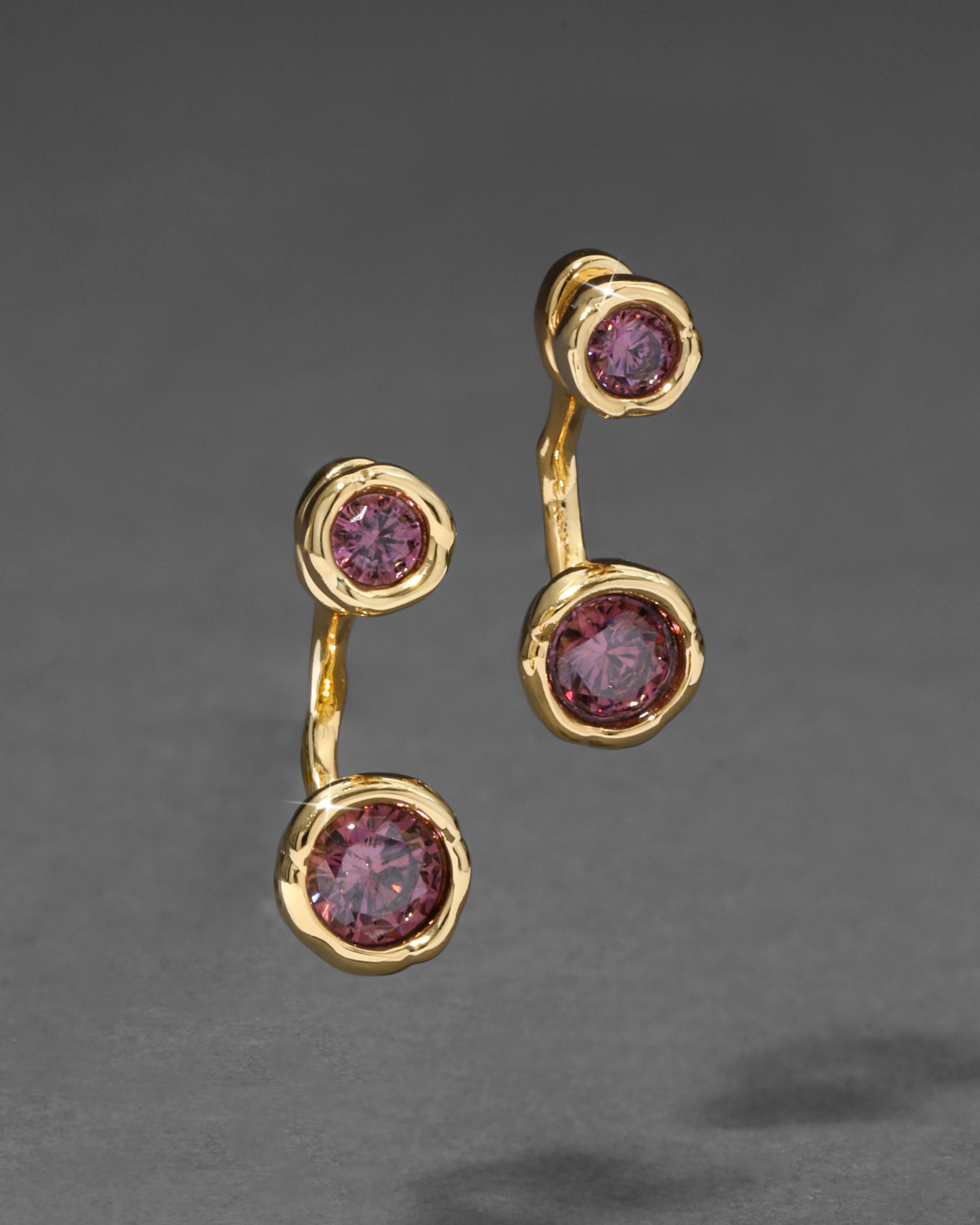 Asterales Front Back Earring Rhodolite