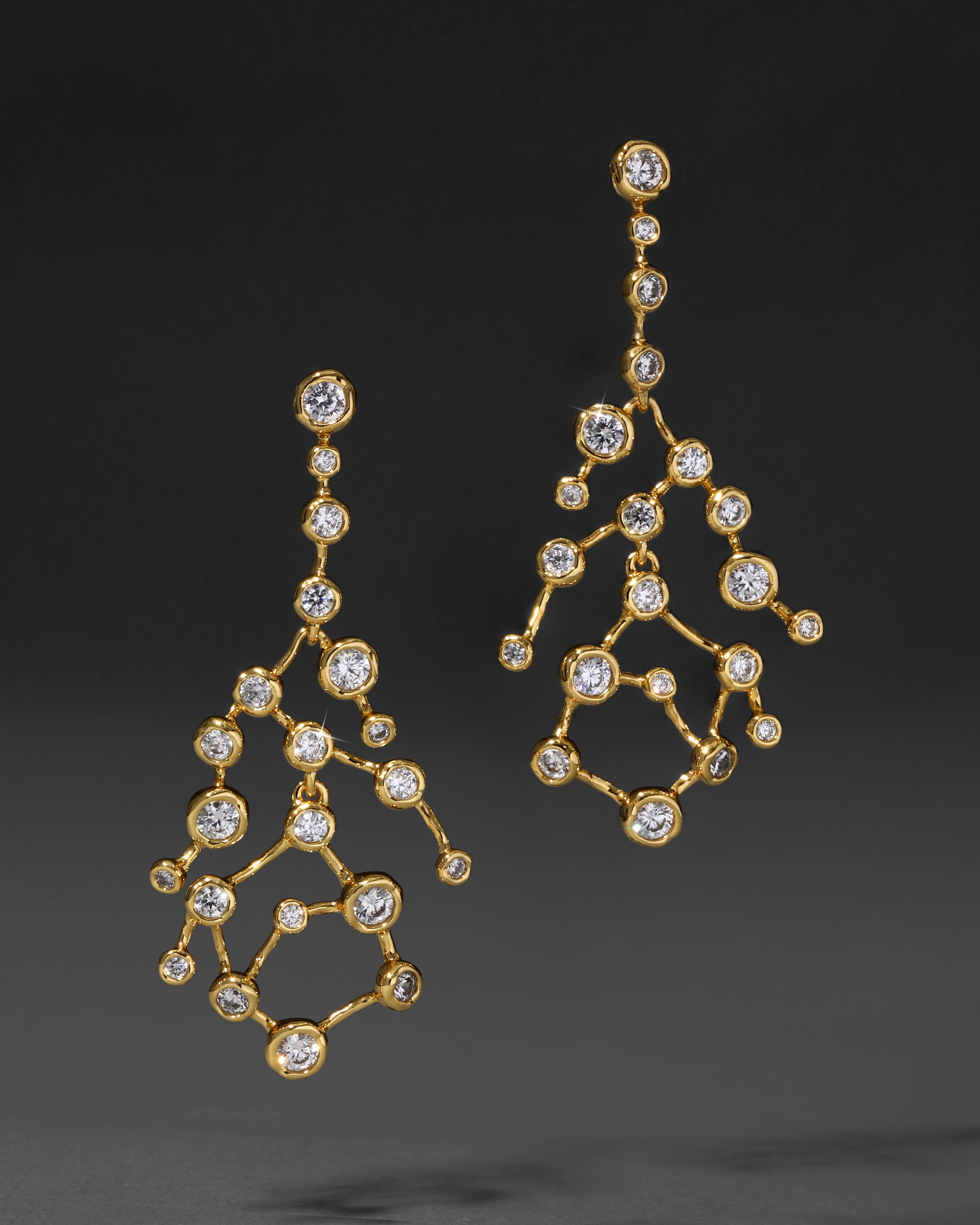 Asterales Celestial Earring