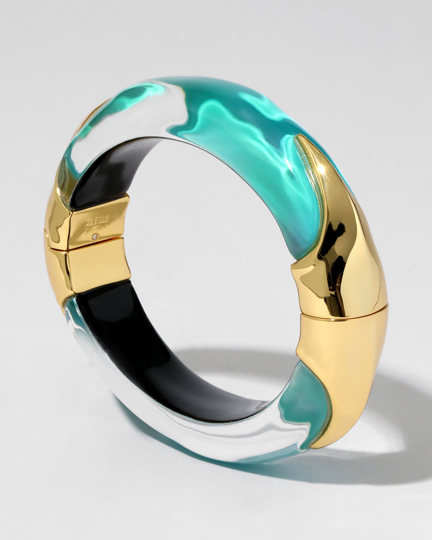 Bijou lucite bracelet créateur poissons Diplodocus bangle