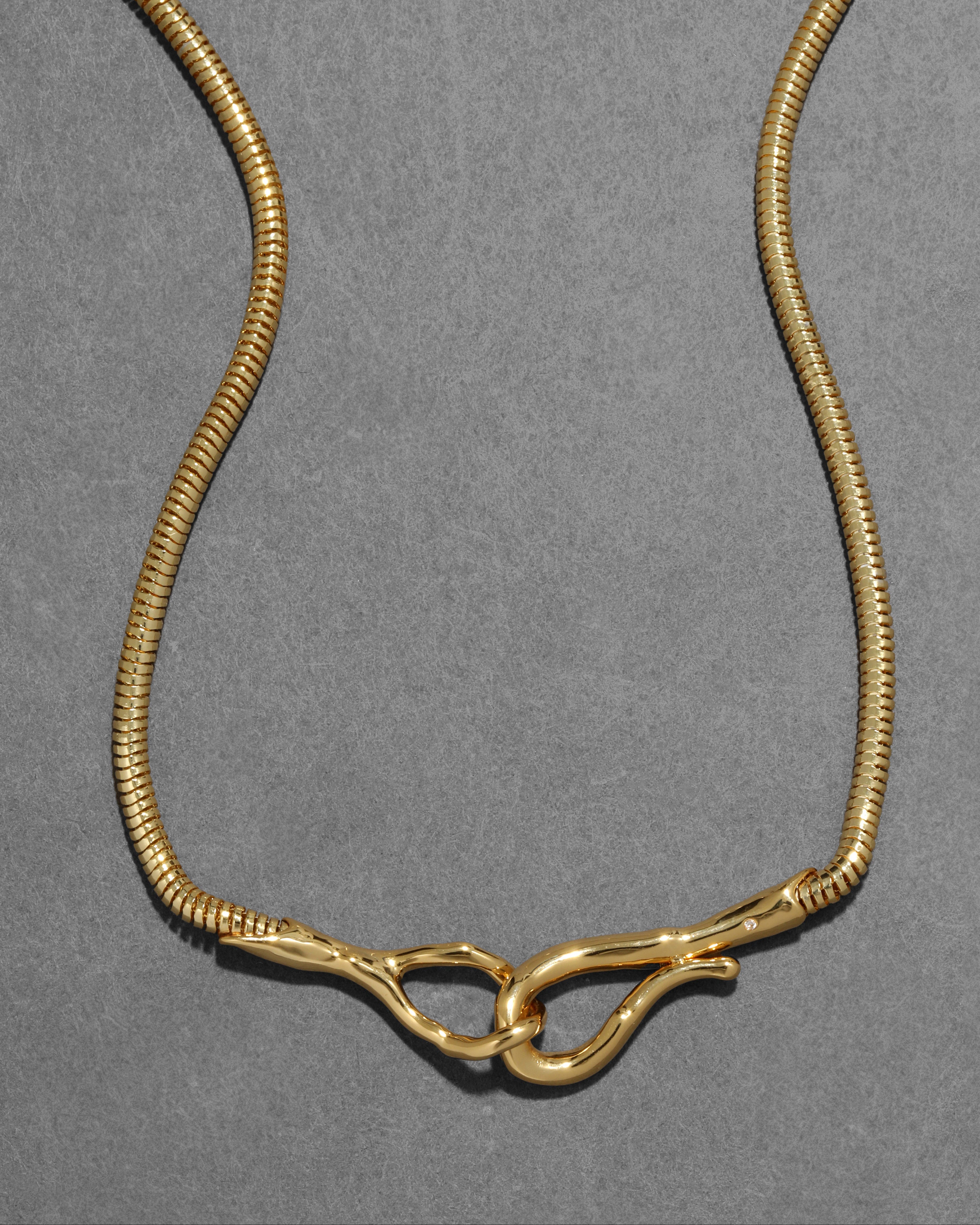 Molten Snake Chain Hook Necklace
