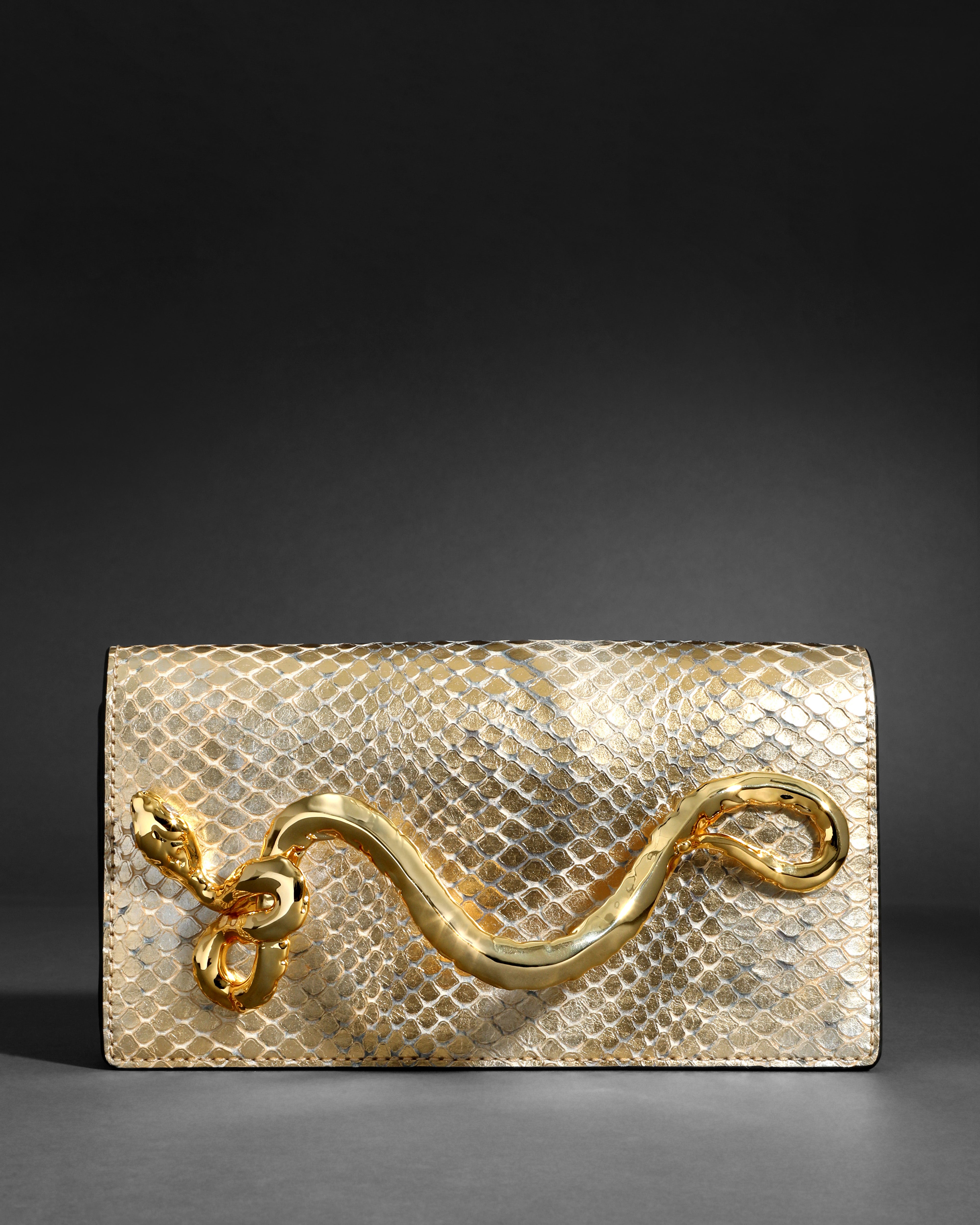Serpent Side Handle Clutch Python