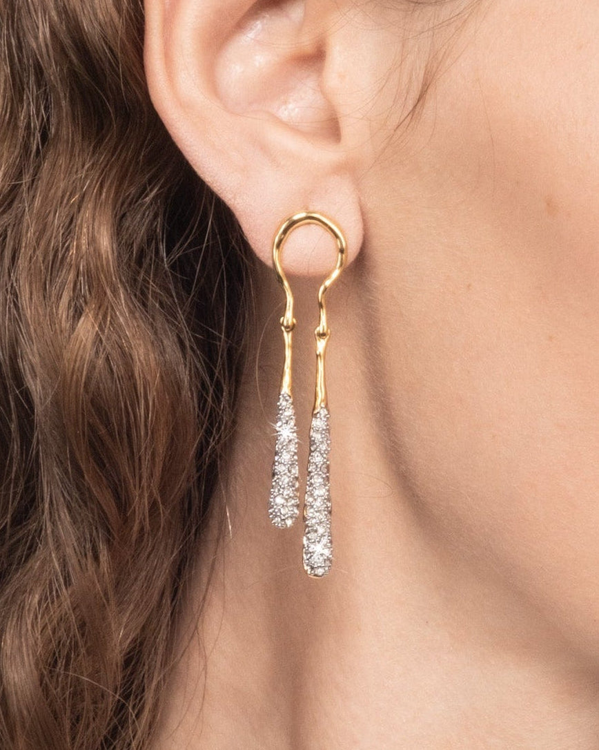Solanales Crystal Coiled Tear Drop Earring