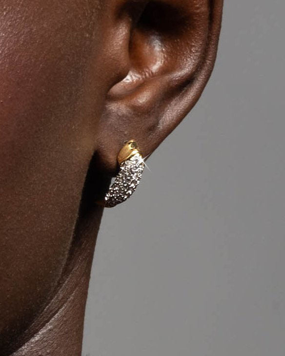 Solanales Crystal Claw Post Earring - Photo 2