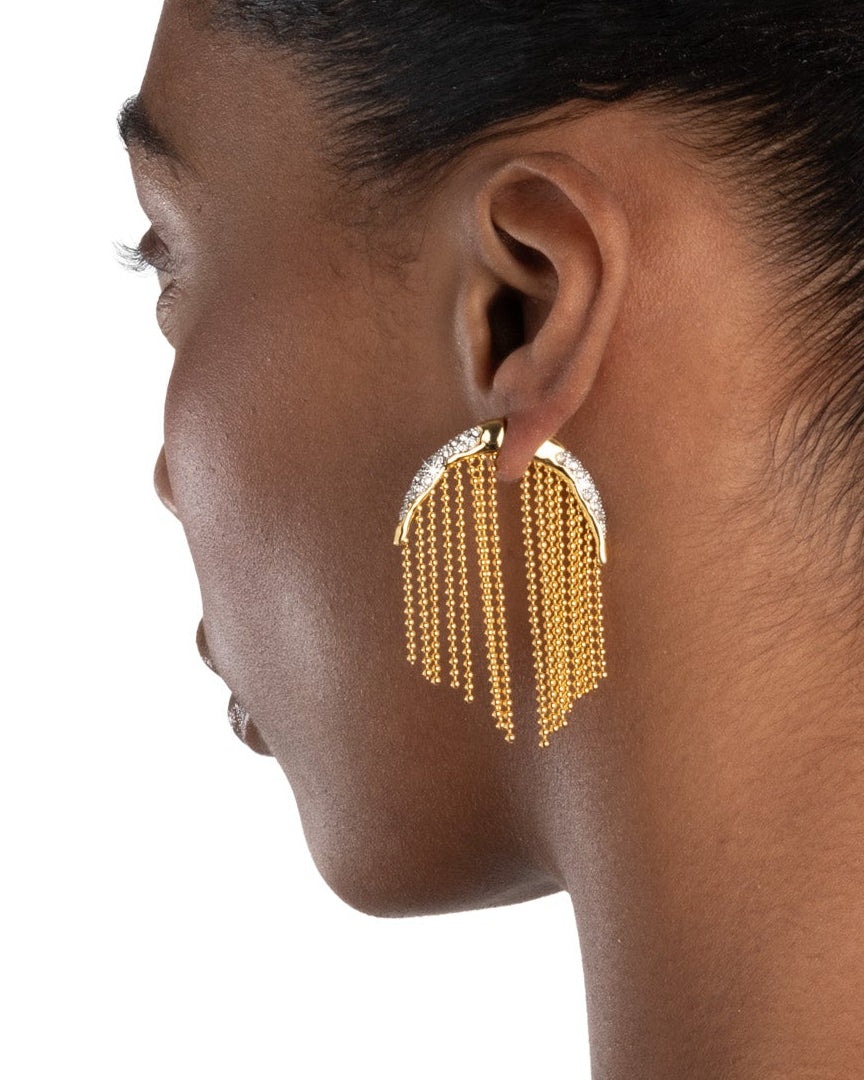 Solanales Crystal Fringe Front Back Earring - Photo 2