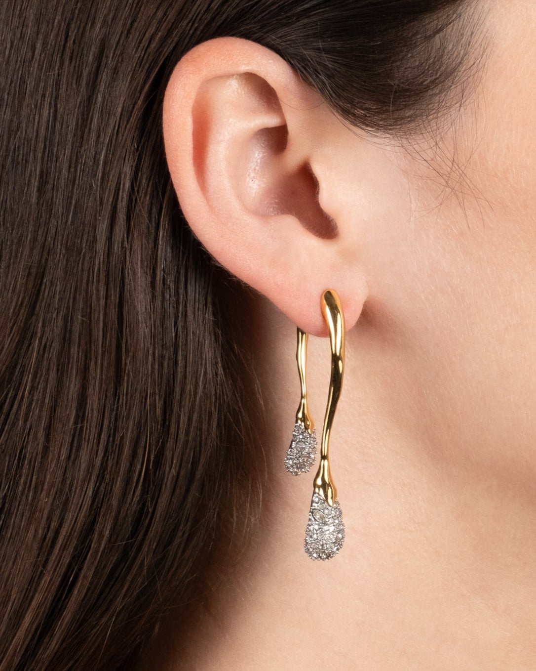 Solanales Crystal Front Back Double Drop Earring- Gold - Photo 2