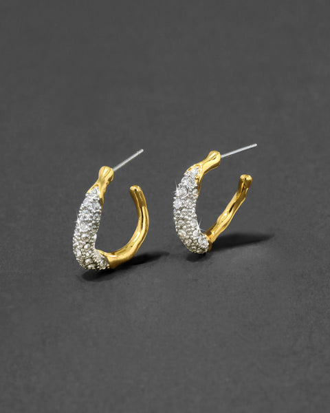 Solanales_Gold_Crystal_Twist_M