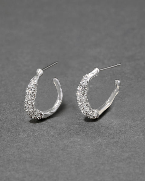 Solanales_Silver_Crystal_Twist